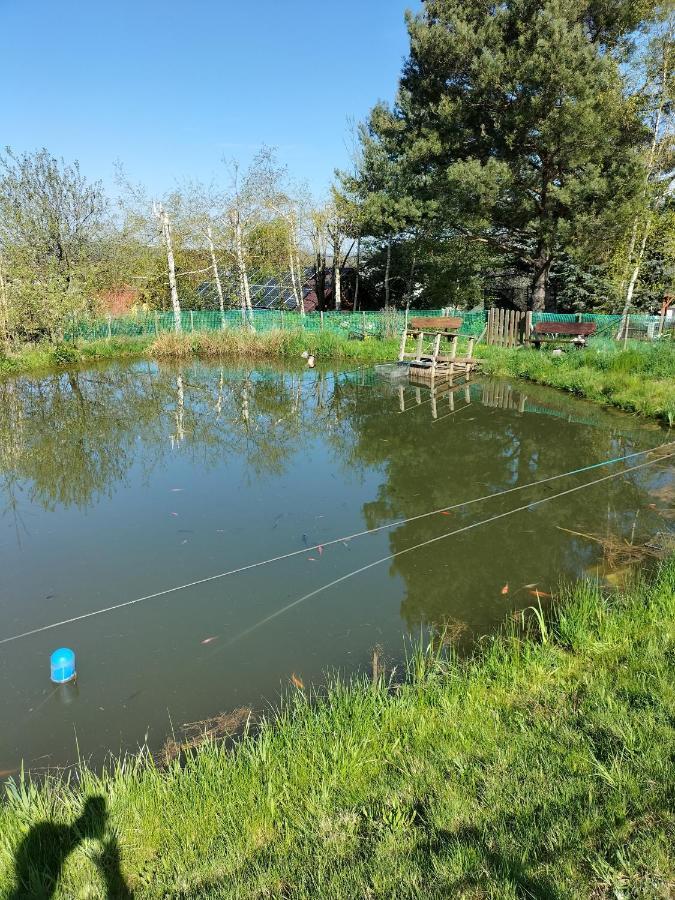 Willa Pod Brzeznikiem Bukowiec  Exteriör bild