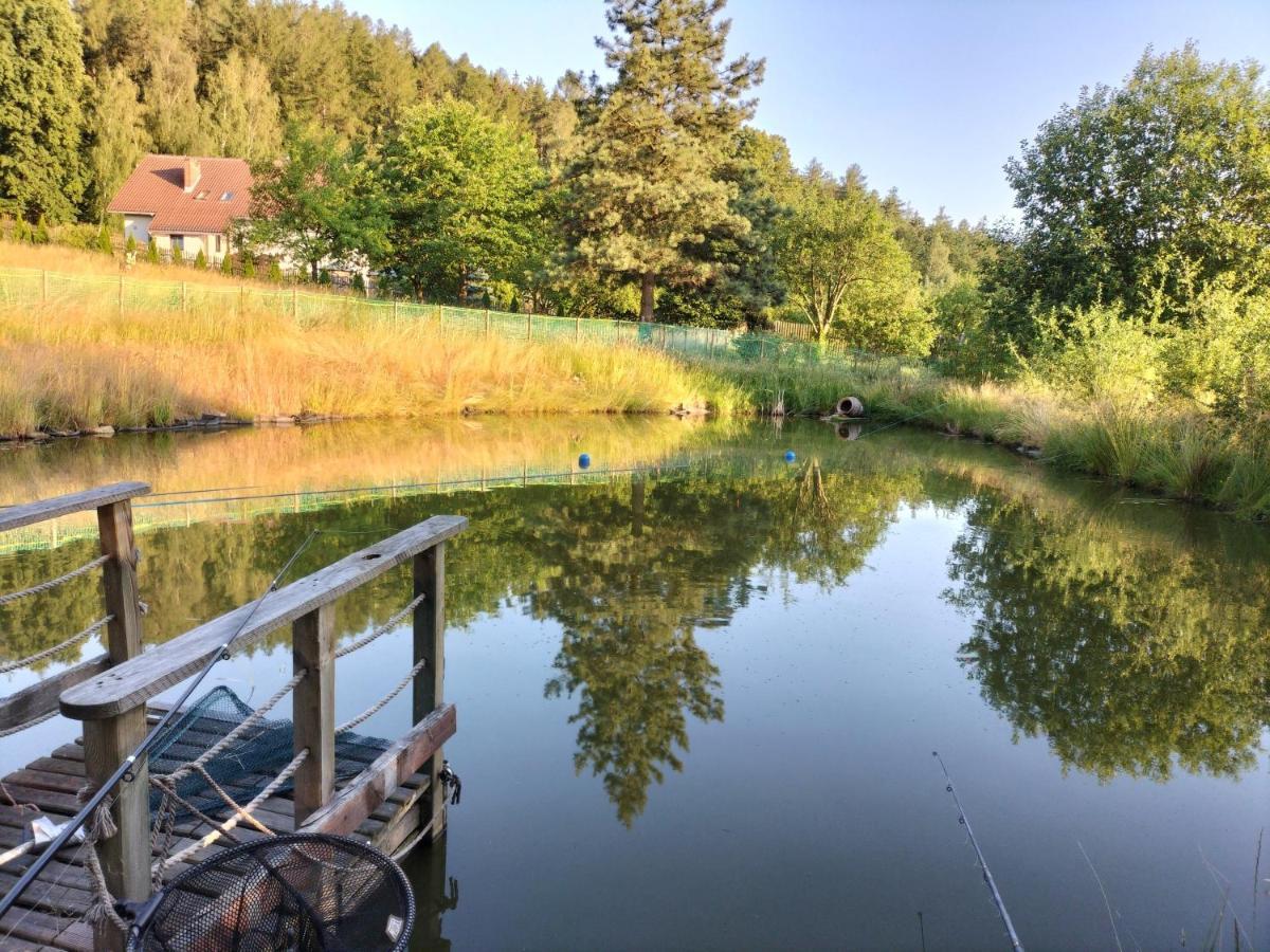 Willa Pod Brzeznikiem Bukowiec  Exteriör bild